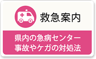 救急案内 県内の急病センター 事故やケガの対処法